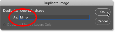 duplicate-image-dialog-photoshop