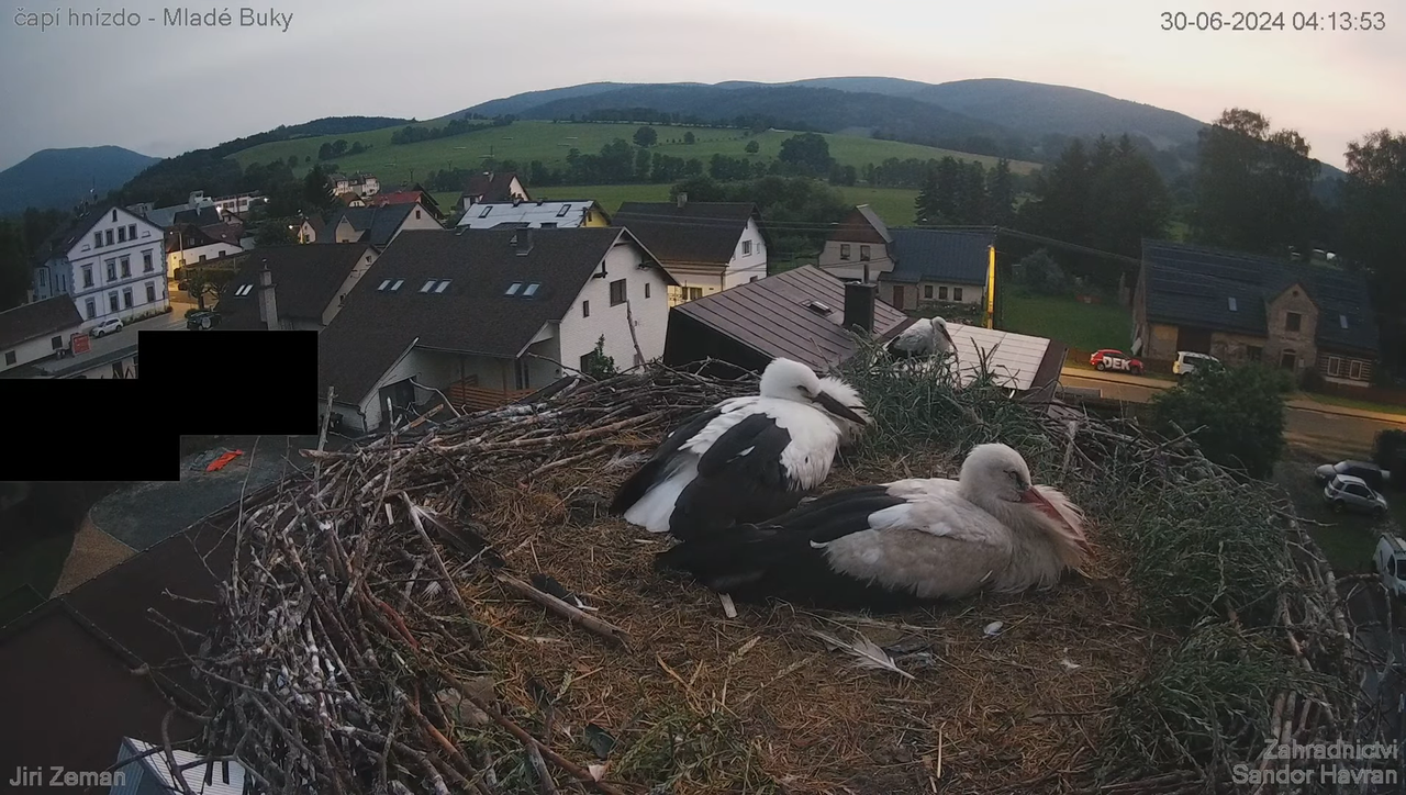 Živá kamera - Mladé Buky - čapí hnízdo 4-44-7 screenshot