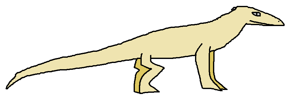 Пустынная ящерица