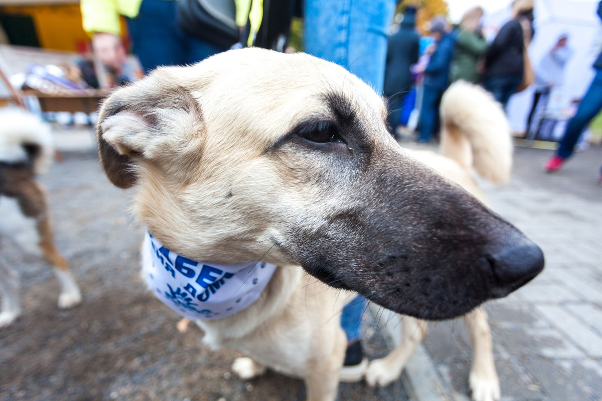 A74E930A-9454-4FF2-A677-5263253A6FF1