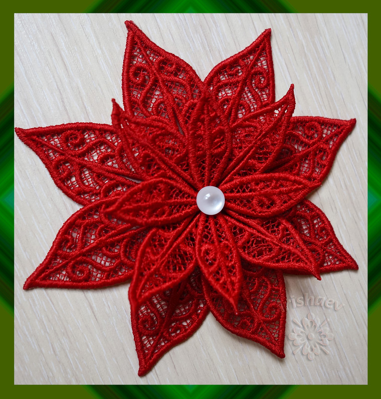 пуансетия зн