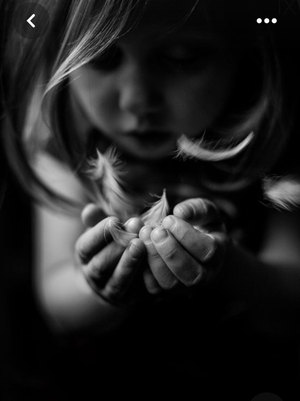 Screenshot_20230606_224556_Pinterest