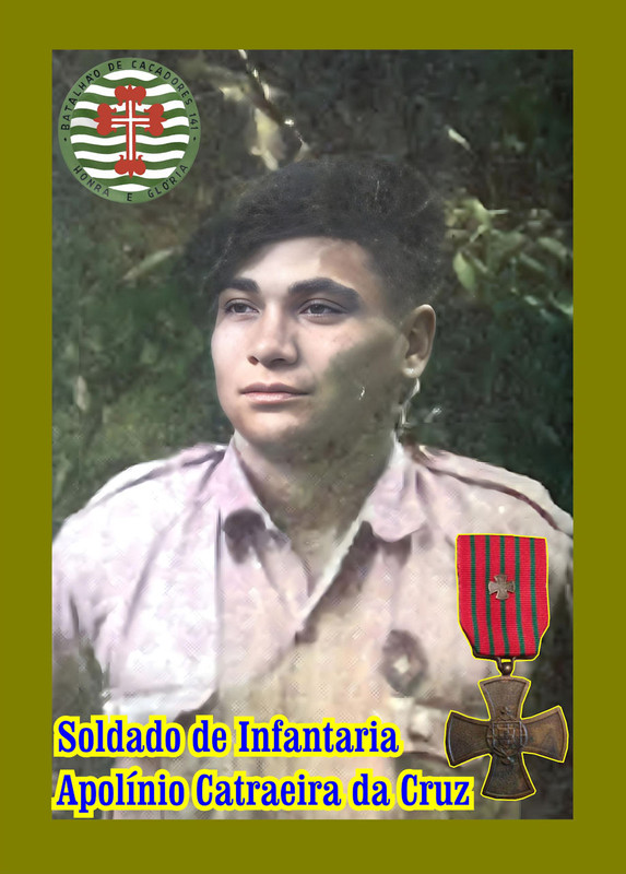 Apol-nio-Catraeira-da-Cruz-920