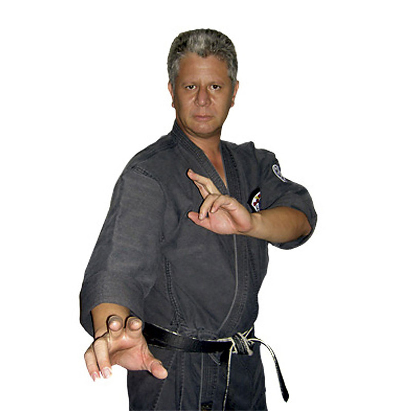 Kempo-stance.jpg