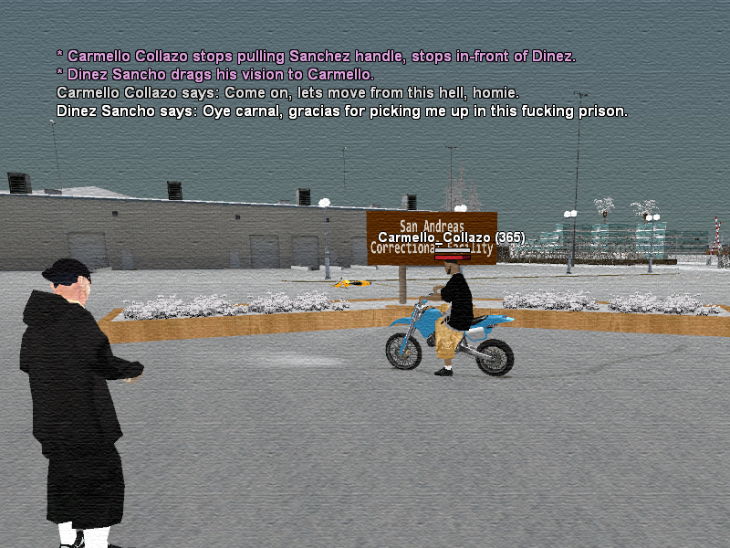 SSRoleplay238.png