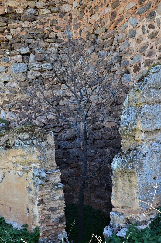 CASTILLO DE MONTALBAN-8-3-2015-TOLEDO - Pueblos y lugares abandonados/deshabitados-2011 AL 2024 (23)