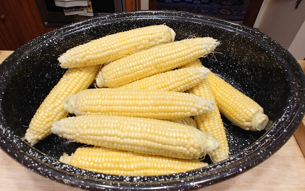 [Image: corn-7-17-2022.jpg]