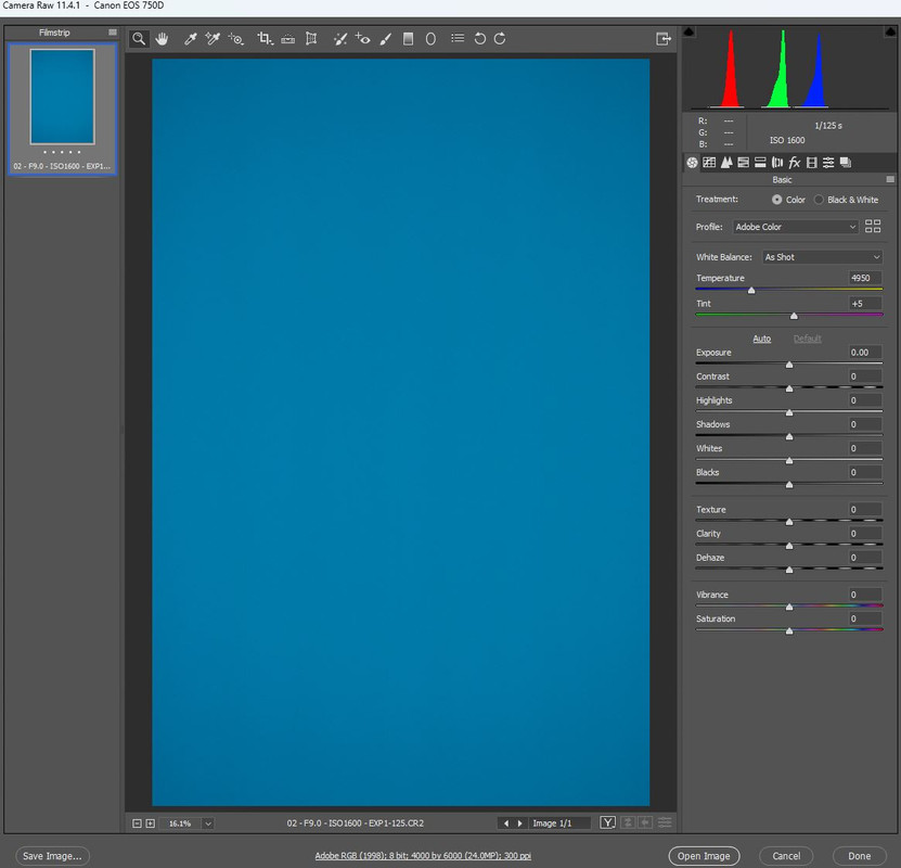 2023-08-16 23_16_31-Camera Raw 11.4.1  -  Canon EOS 750D