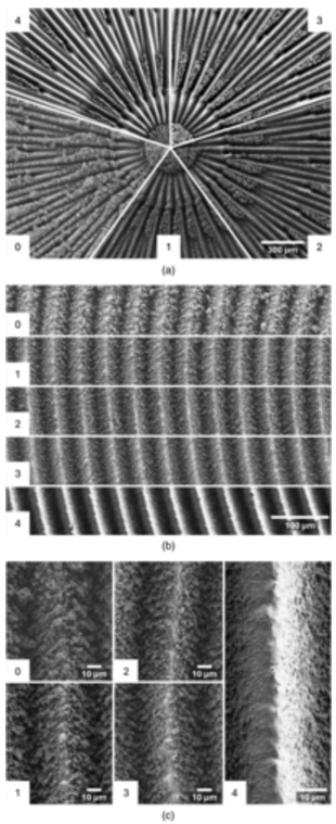 逐渐清洁的激光处理铜表面的 SEM 图像
