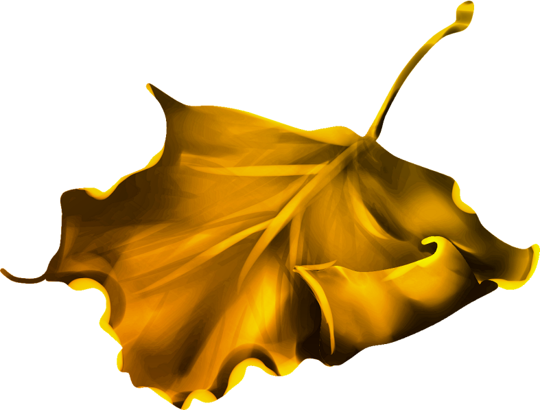 Halloweenpumpkitdnelves2