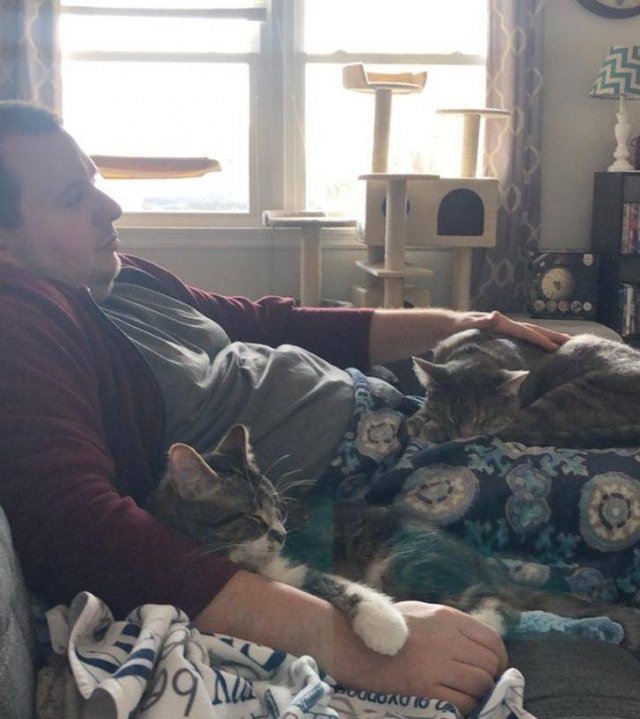 Pets-5