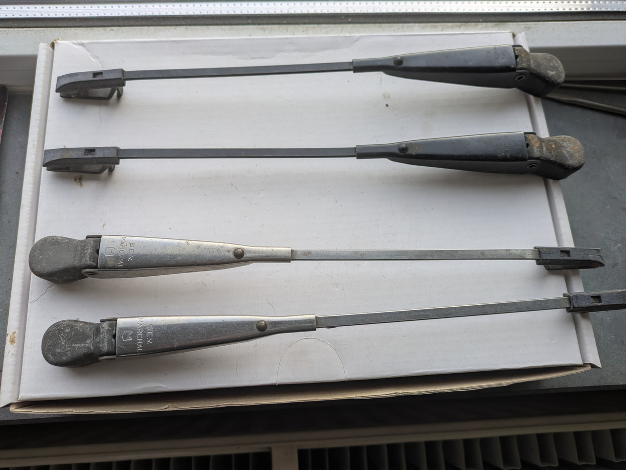 PXL 20251122 092535265