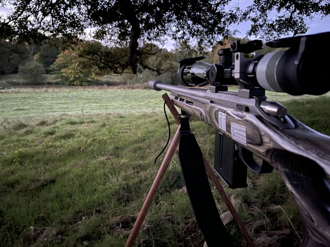 282D1AE7-65EA-430B-BB04-31D60CF6B0F3