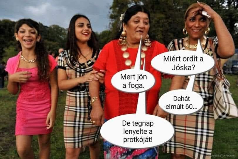 645008071 26027881333499784 8487391087009024055 n