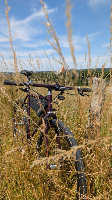 PXL_20250704_121246803.MP