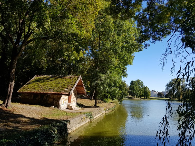 Slika