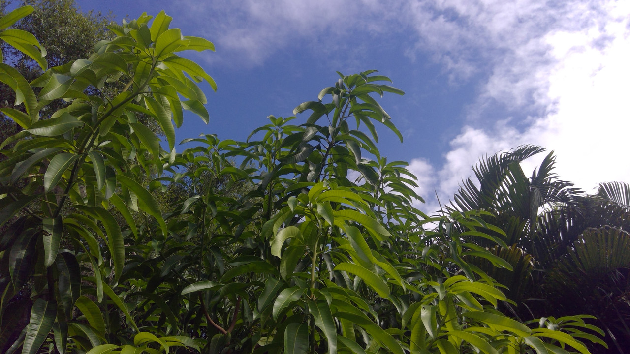 WIN_20190727_10_04_38_Pro