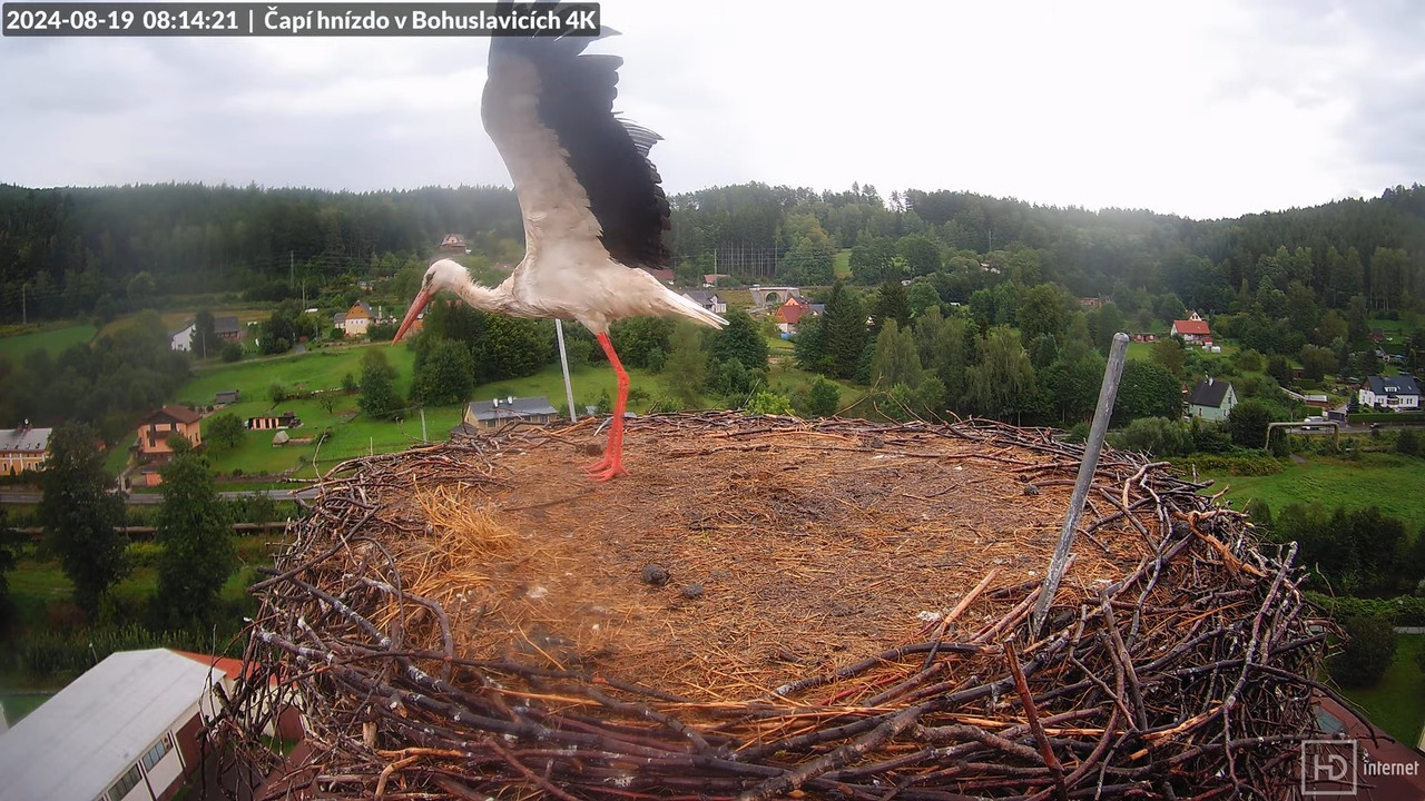 Živě z čapího komína firmy KARA v Bohuslavicích u Trutnova 9-6-32 screenshot