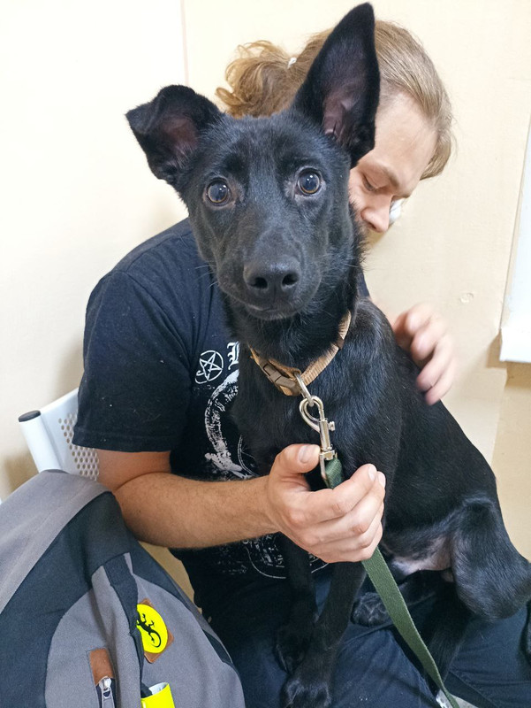 изображение_viber_2023-07-30_17-20-03-597