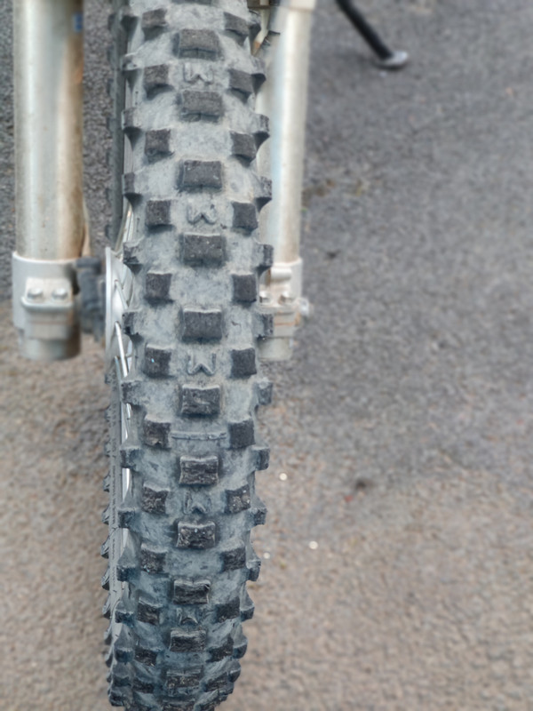 IMG_20221104_081552_Bokeh