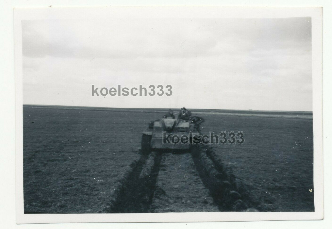 Foto Sturmgeschütz Abt. 203 StuG Panzer in morastigem Gelände in