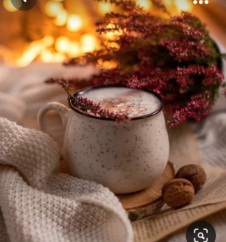 Screenshot_20231008_222443_Pinterest