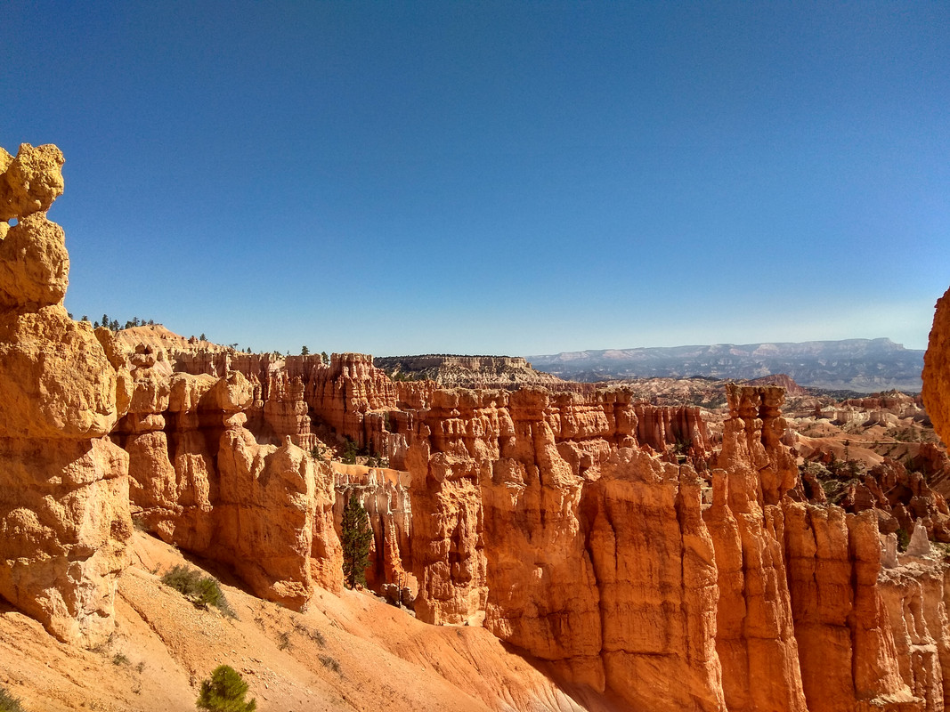 IMG_20180914_110104_HDR
