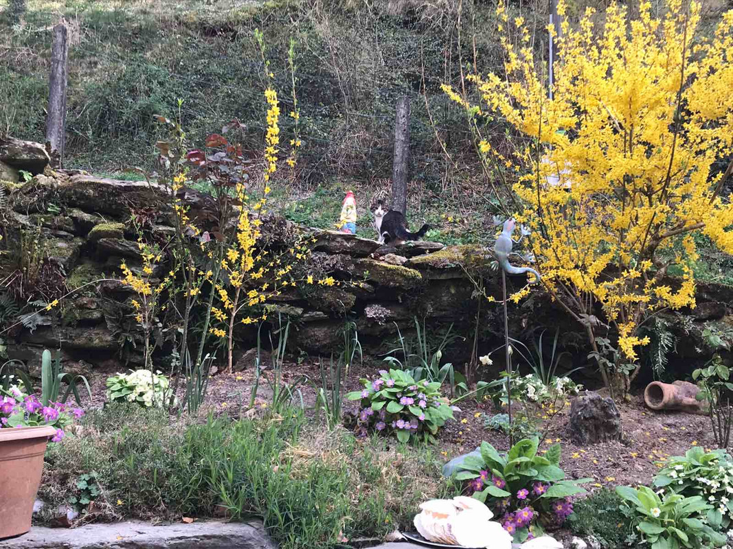 45C48ECC-DB3A-4F15-BAED-CF416DDD38C6