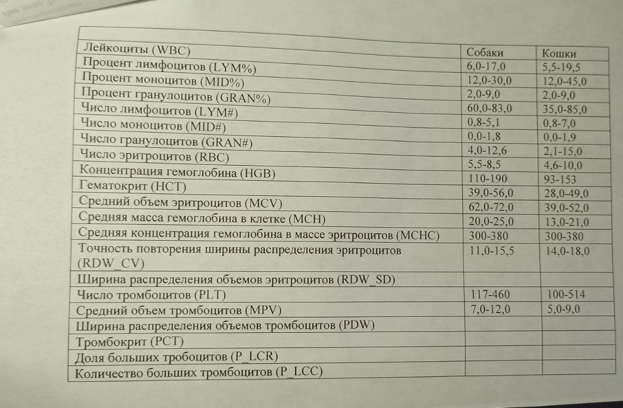 Кровь 4
