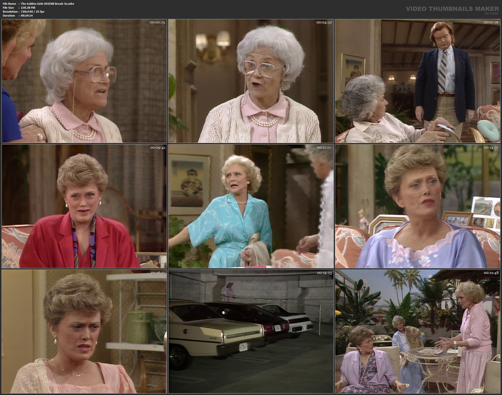The Golden Girls S01E08 Break-In.mkv