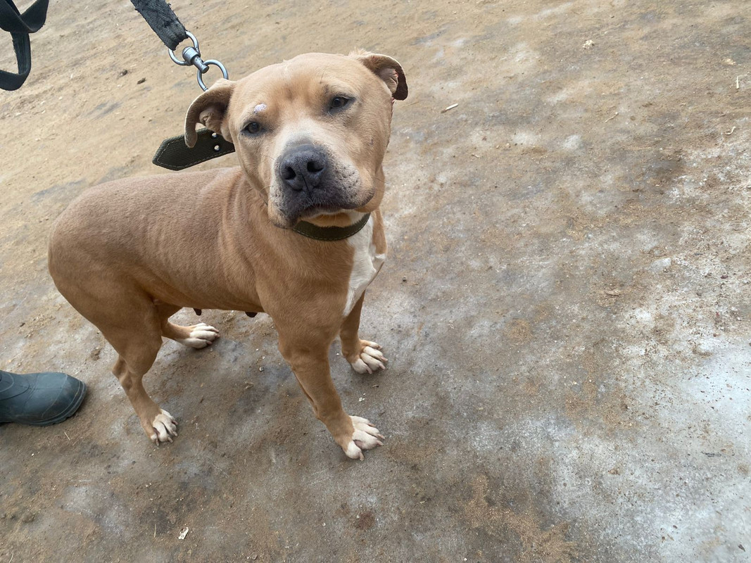 WhatsApp Image 2023-01-24 at 10.11.43 (1)