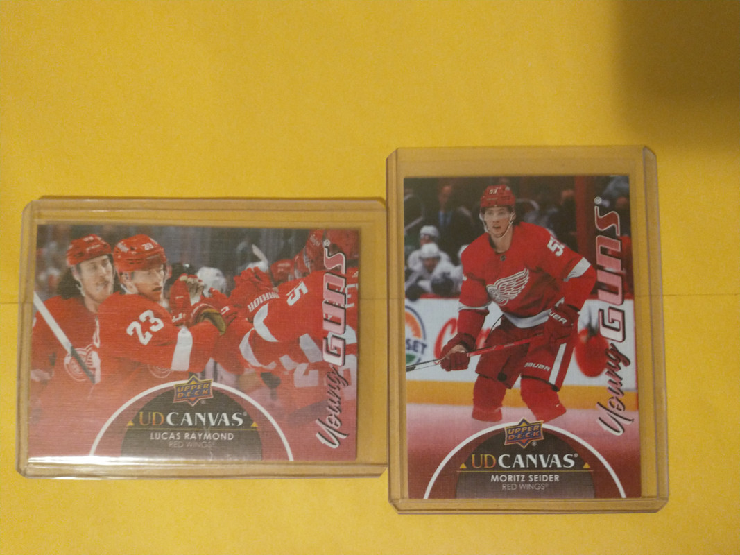 IMG_20241228_221236747