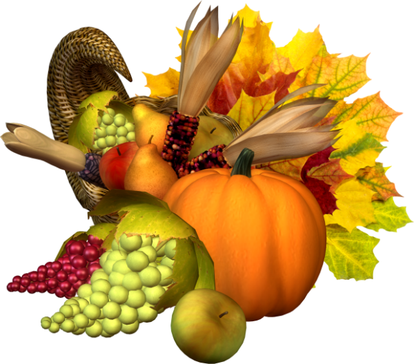 Indian Summer7