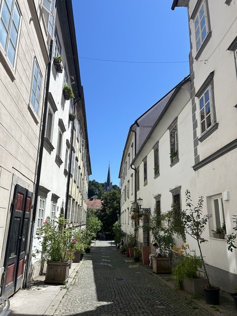 Liubliana o Ljubljana. Visita a la capital I - Trieste (Italia) y Eslovenia en pocos, poquísimos, días. Julio de 2025. (19)