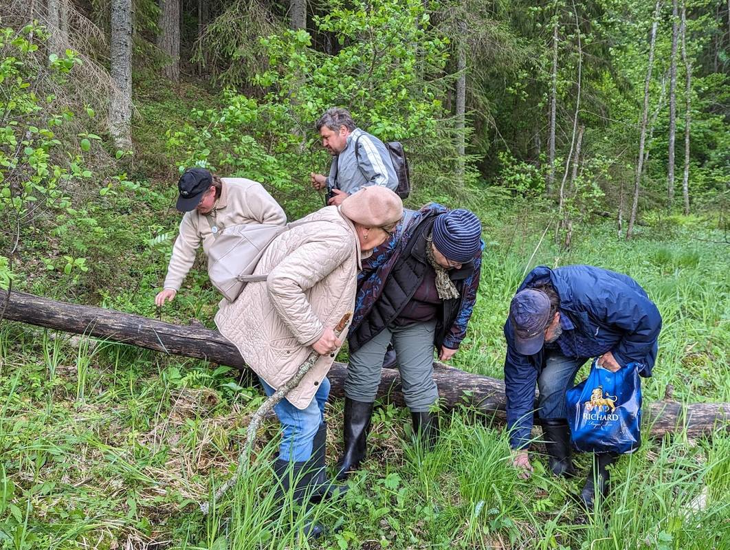 PXL_20230603_101202050