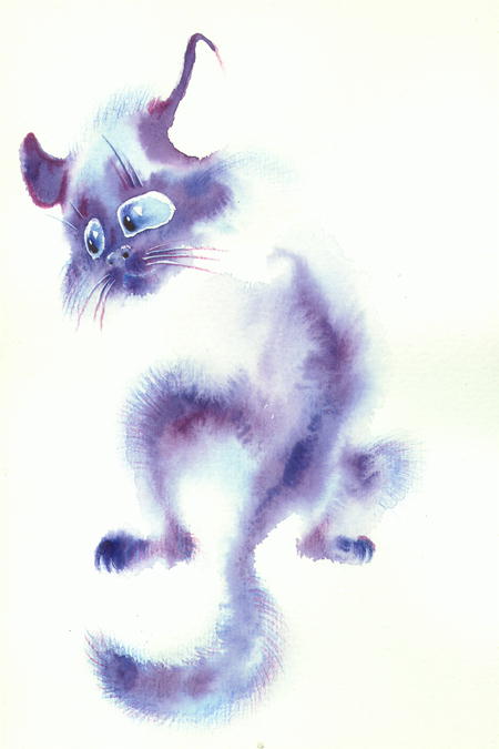 22
