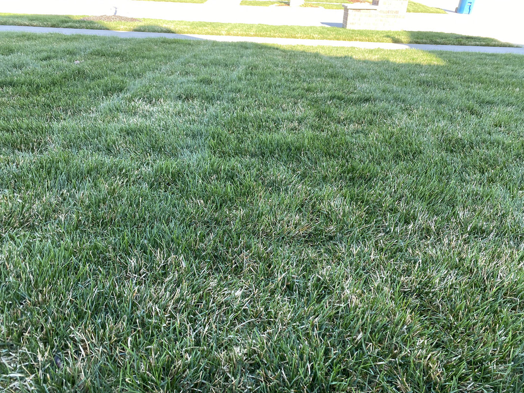 204560BC-F042-4093-97B0-E7BC7BE4D441