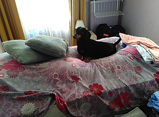 [Image: PANO-20211112-145203.jpg]