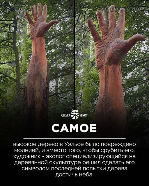 [Изображение: b22a96c45bfe399ac0272def2ea1a540.jpg]