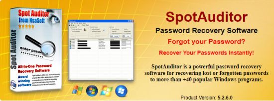 Nsasoft SpotAuditor 5.3.5 + Portable