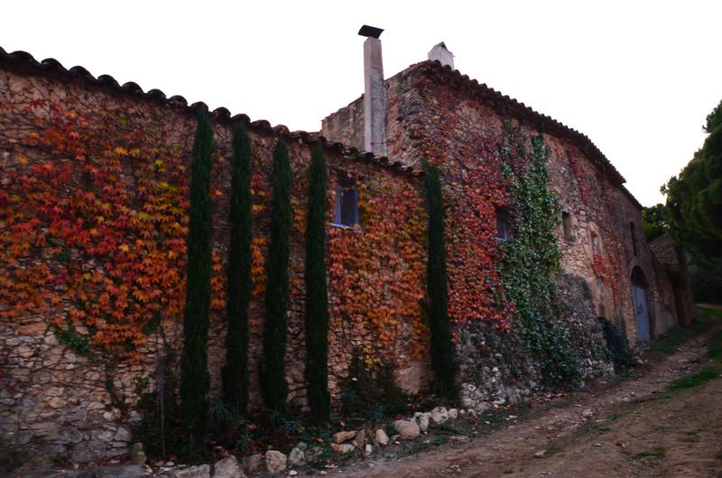 VULPELLAC-21-11-2017 - Gerona y sus pueblos-2016/2017 (20)