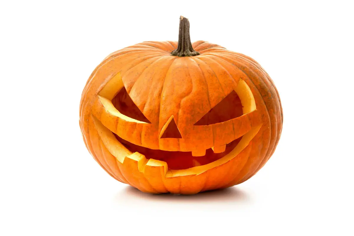 Pumpkins 0028