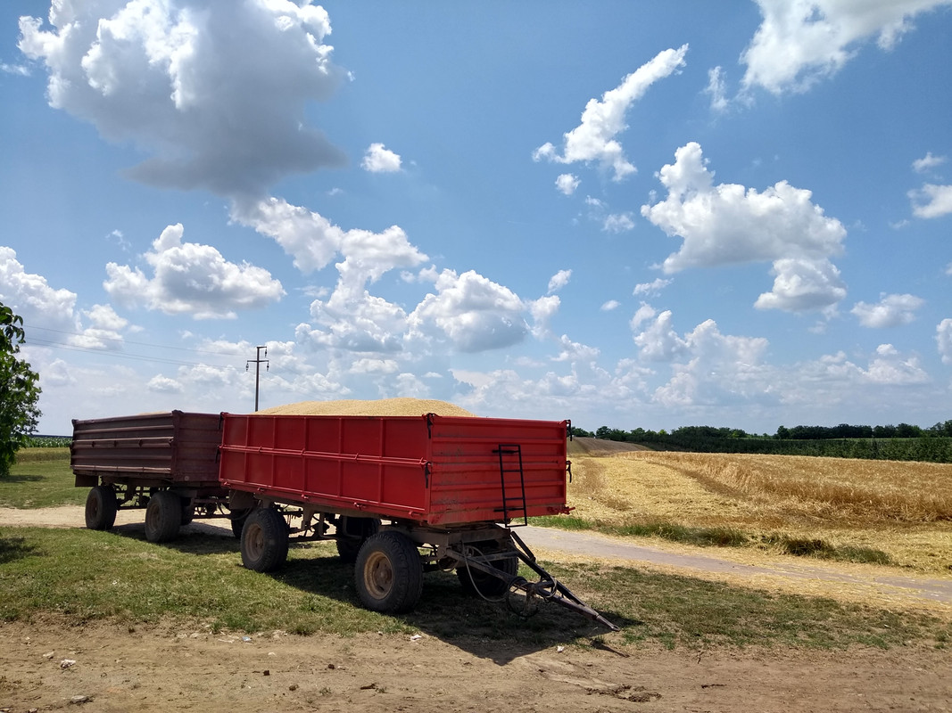 IMG-20180603-125714499-HDR.jpg