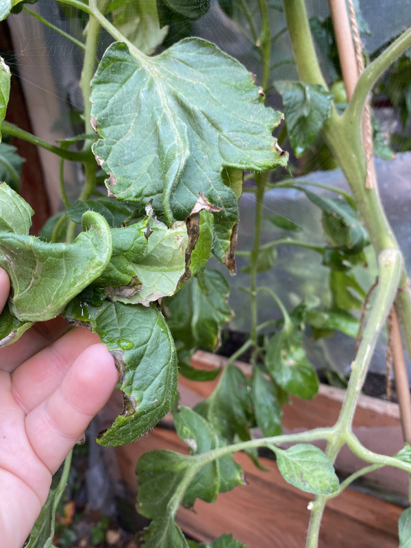 2DEBD358-560D-4B9F-8F6C-7E055E6A1457