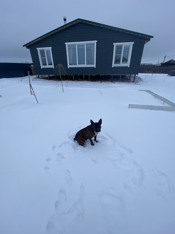 F2462F99-0388-4453-8712-A29CC939190B