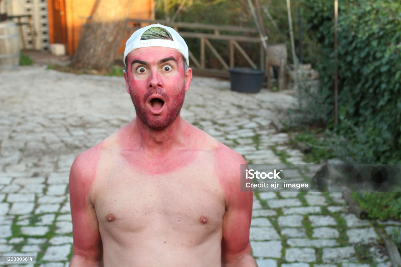 istockphoto 1203803614 2048x2048