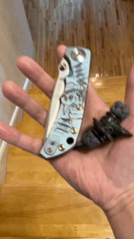 06-A9598-B-186-F-4-AF9-9-A38-E458205-D6-E2-A.gif