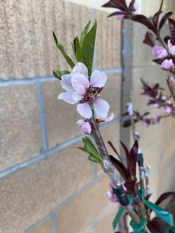 264F43FC-DA24-47EA-9736-71D47733194C