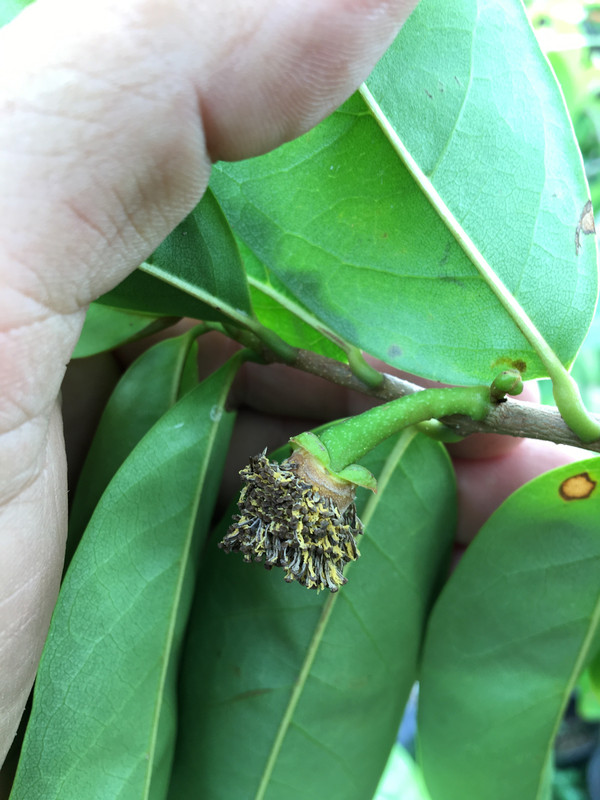 EB9FCBBB-BAF3-4611-80EE-63877BF38448