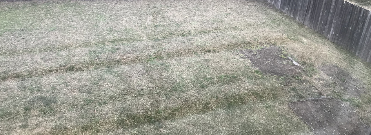 E1C5D7C1-B3F9-476F-A818-09927A02BE83